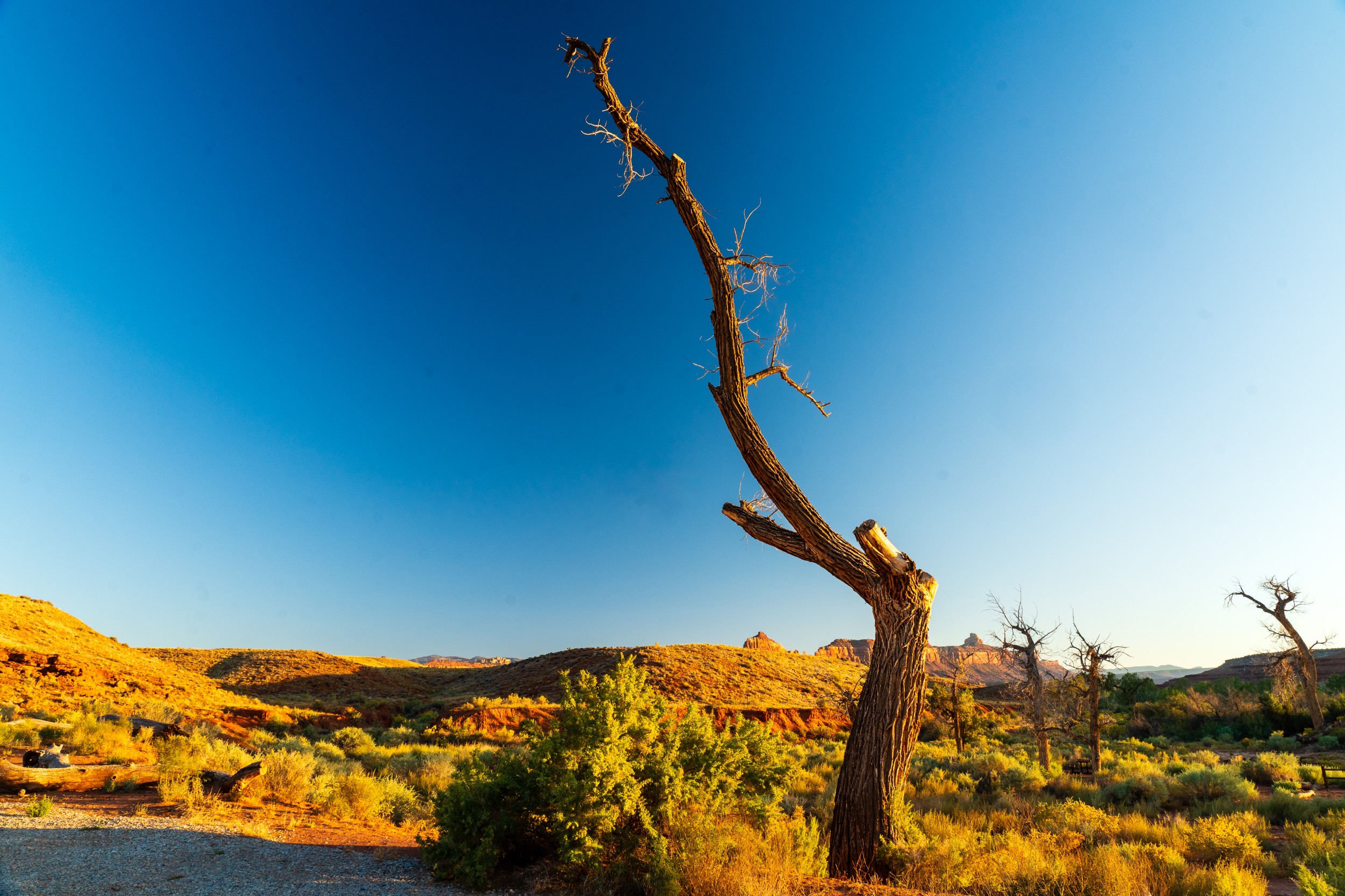 USA 2024 5 Sterne 94